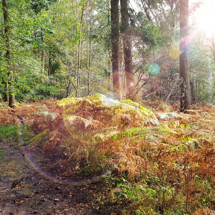 Naturheilräume Longina Przybyl